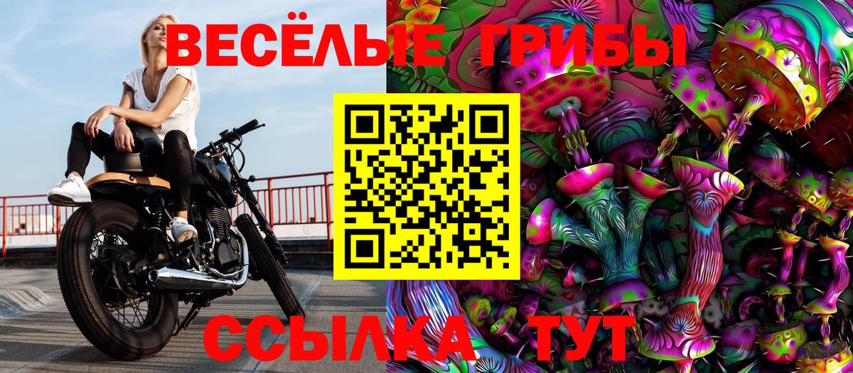 Галлюциногенные грибы ЛСД  Псилоцибиновые грибы ЛСД  Керчь  Вход с VPN 